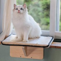 Petsfit Safety Sturdy Cat Window Perch, Not Fit All Windows