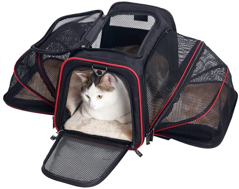 petsfit carrier