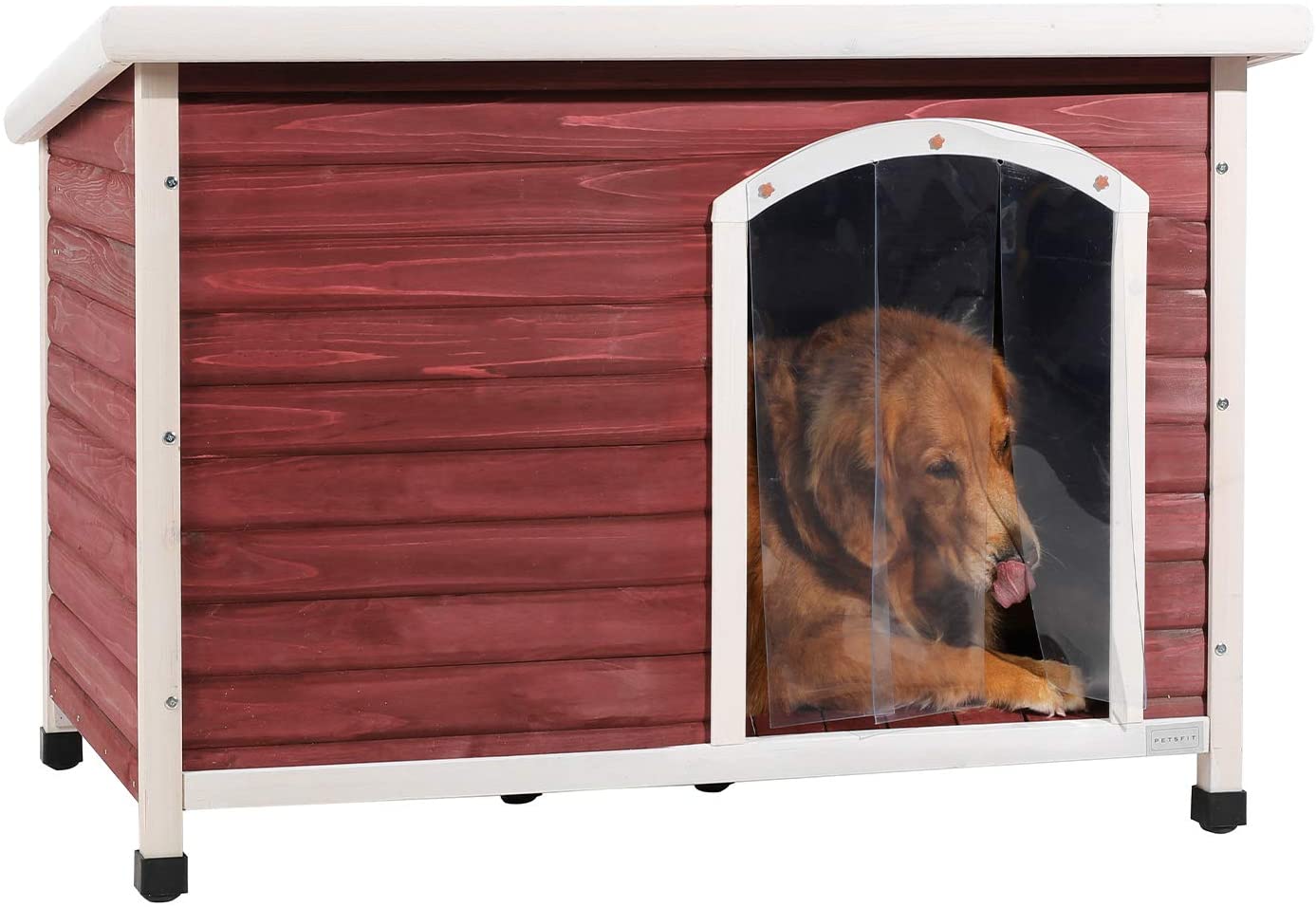 m.petsfit.com