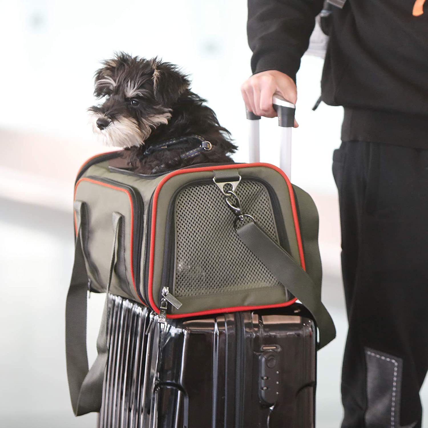 petsfit expandable carrier