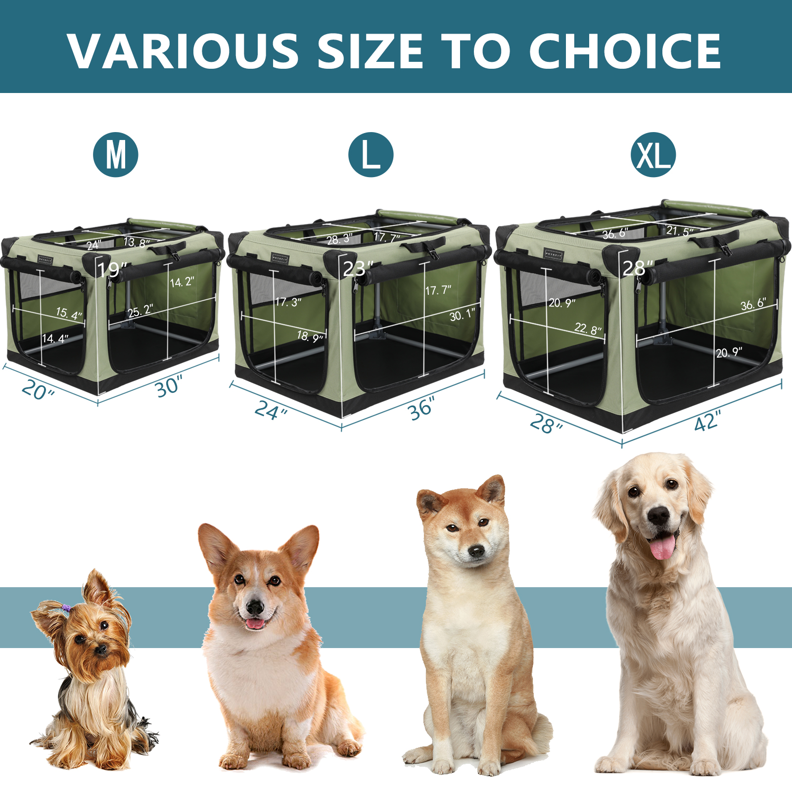 m.petsfit.com