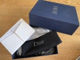 Dior Shoes