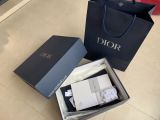 Dior Sneaker