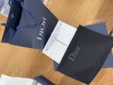 Dior Sneaker 2