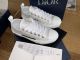 Dior Sneaker 2