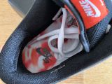 Nike SB Dunk Low Pro Qs