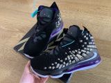 Nike Lebron Purple