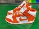 Nike Air SB Dunk High White Orange 