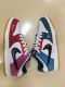 Nike Air SB Dunk Low Colorfull