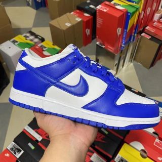 Nike Air SB Dunk Low White Blue