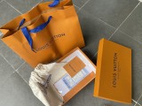 LV Bag 54