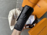 LV Bag 54