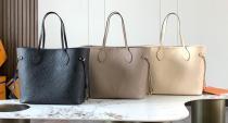  LV Bag 65