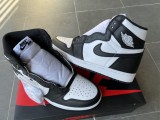Air Jordan 1 Retro Panda