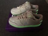Nike Air SB Dunk Glow in Dark