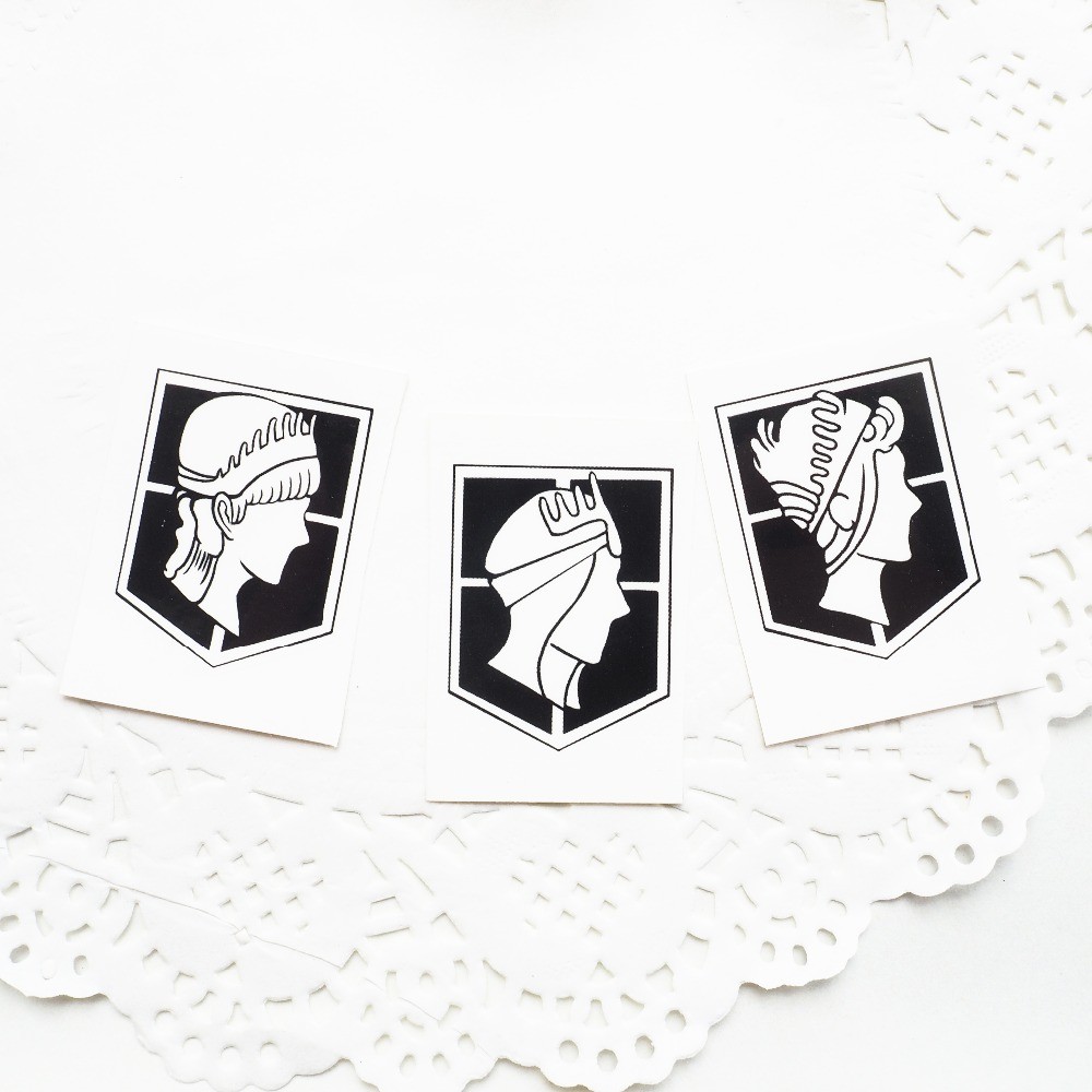 Attack On Titan Shingeki no Kyojin Wall Maria Wall Rose Wall Sina