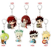 Anime Dr.STONE Cartoon Keychain Cute Figure Keyring Acrylic Double Sided Transparent Fans Jewelry Accessories Gifts