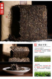 BAISHAXI FUYUAN Hunan Anhua Dark Tea Golden Flower Fu Zhuan Black Tea 750g