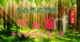 China Spirulina Natural Tea Organic Spirulina Tablet Anti-Fatigue Enhance-Immune