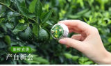 4Pcs Small Xinhui Pu er Orange Ripe Puer Chenpi Stuffed Tangerine Pu-erh Tea 40g