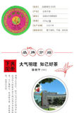 2017 Xia Guan Yunnan Tetuo Raw Puer FT Special Grade Tuo Cha Shen Puerh Tea 100g