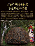 Xin Yi Hao Bulang Mountain 200 Years Old Tree Tuo Cha Pu-erh Tea Ripe Shu