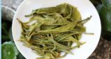Wild Silver Tips Yunnan Green Tea Supreme Organic Early Spring Snowy Mountain