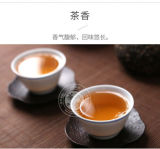 TAETEA V93 Qing Tuo Cha * Yunnan Menghai Dayi Pu-erh 2006 Raw Puer Tea Tuocha