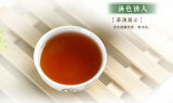Sea Dyke XT829 SAN YIN Da Hong Pao Oolong Tea YANCHA Wuyi Rock Tea 100g Box