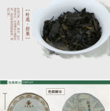 Premium Aged Shou Mei Longevity Eyebrow Fuding White Tea Cake 350g