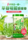2022 Spring Organic Fresh Chinese Suzhou Green Tea Chun Bi Luo 250g Tin