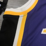 NBA Lakers crew neck Vintage purple 3 Davis  with chip  1:1