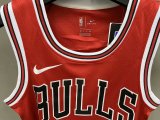 NBA Bulls 【customized】Rose No.1  1:1