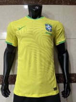 Brazil  Home Player 1:1 23-24