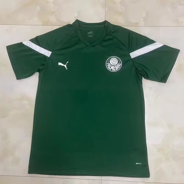 Palmeiras Training clothing green fans 1:1   23-24