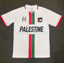 Palestino  home   Fans  1:1  23-24