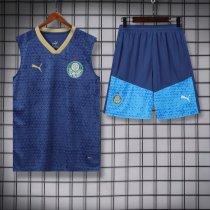Palmeiras Training clothing Vest  set 1:1   24-25