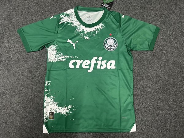 Palmeiras Special Edition  fans 1:1   24-25