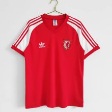 Retro Welsh home 1:1 1982
