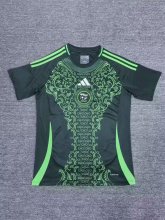Algeria away Fans  1:1  24-25