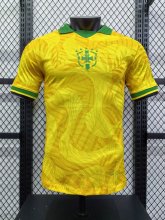 Brazil  Special Edition  Player  1:1 24-25