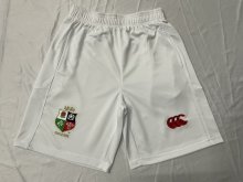 Lion Team Rugby jerseys  fans shorts 1:1  2025