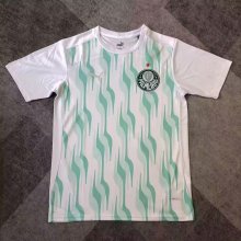 Palmeiras training fans 1:1  25-26
