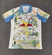FIFA Club World Cup Bull  away fans  1：1  25-26