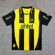 Penarol home  Fans  1:1  25-26