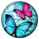 20MM butterfly Painted  metal snaps C5077 print snaps jewelry