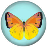 20MM butterfly Painted enamel metal snaps C5056 print snaps jewelry