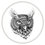 20MM Painted Owl enamel metal C5783 print snaps jewelry