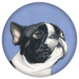 20MM dog Painted enamel metal C5452 print snaps jewelry