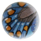 20MM butterfly Painted enamel metal snaps C5084 print snaps jewelry